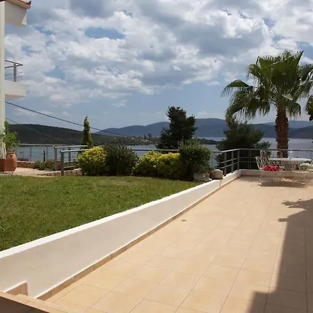 The Sea Star - Sea View